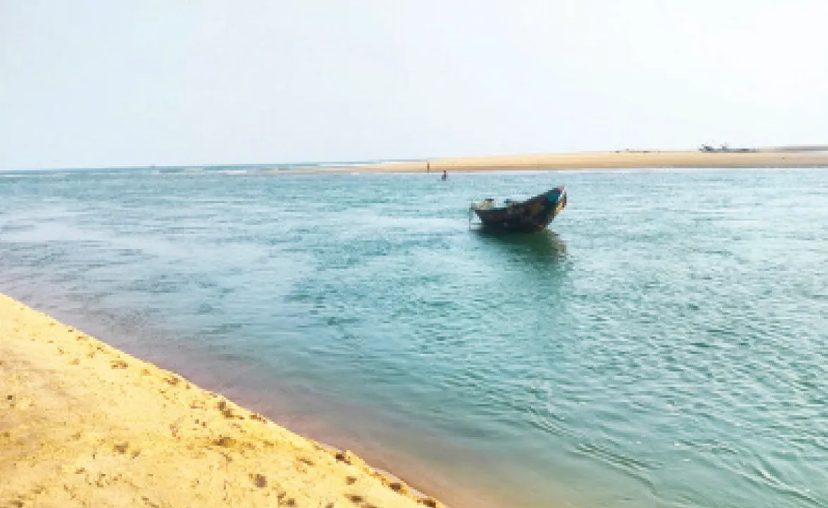  ସଂକୁଚିତ ହେଉଛି ଋଷିକୁଲ୍ୟା ମୁହାଣ: ଅଲିଭ୍‌ ରିଡ୍‌ଲେ ଗଣଅଣ୍ଡାଦାନକୁ ପ୍ରଭାବିତ କରିବା ଆଶଙ୍କା