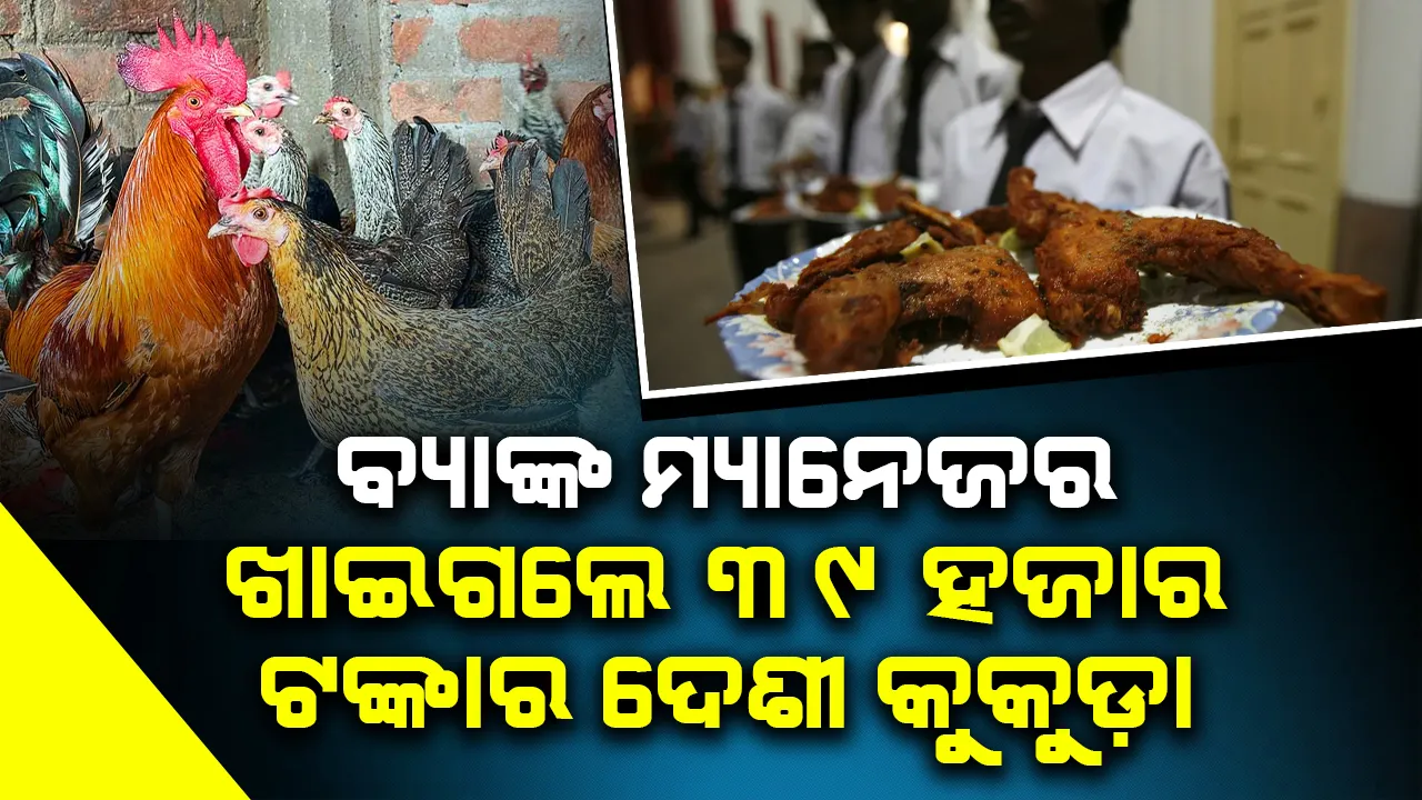  ଚାଷୀଙ୍କ ଠାରୁ ବ୍ୟାଙ୍କ ମ୍ୟାନେଜର ଖାଇଛନ୍ତି ୩୯ହଜାର ଟଙ୍କାର ଦେଶୀ କୁକୁଡ଼ା