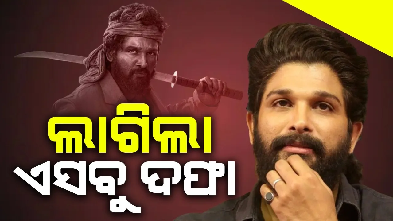  ଅଲ୍ଲୁଙ୍କ ବିରୋଧରେ ଲାଗୁ ହୋଇଛି ଏସବୁ ଦଫା