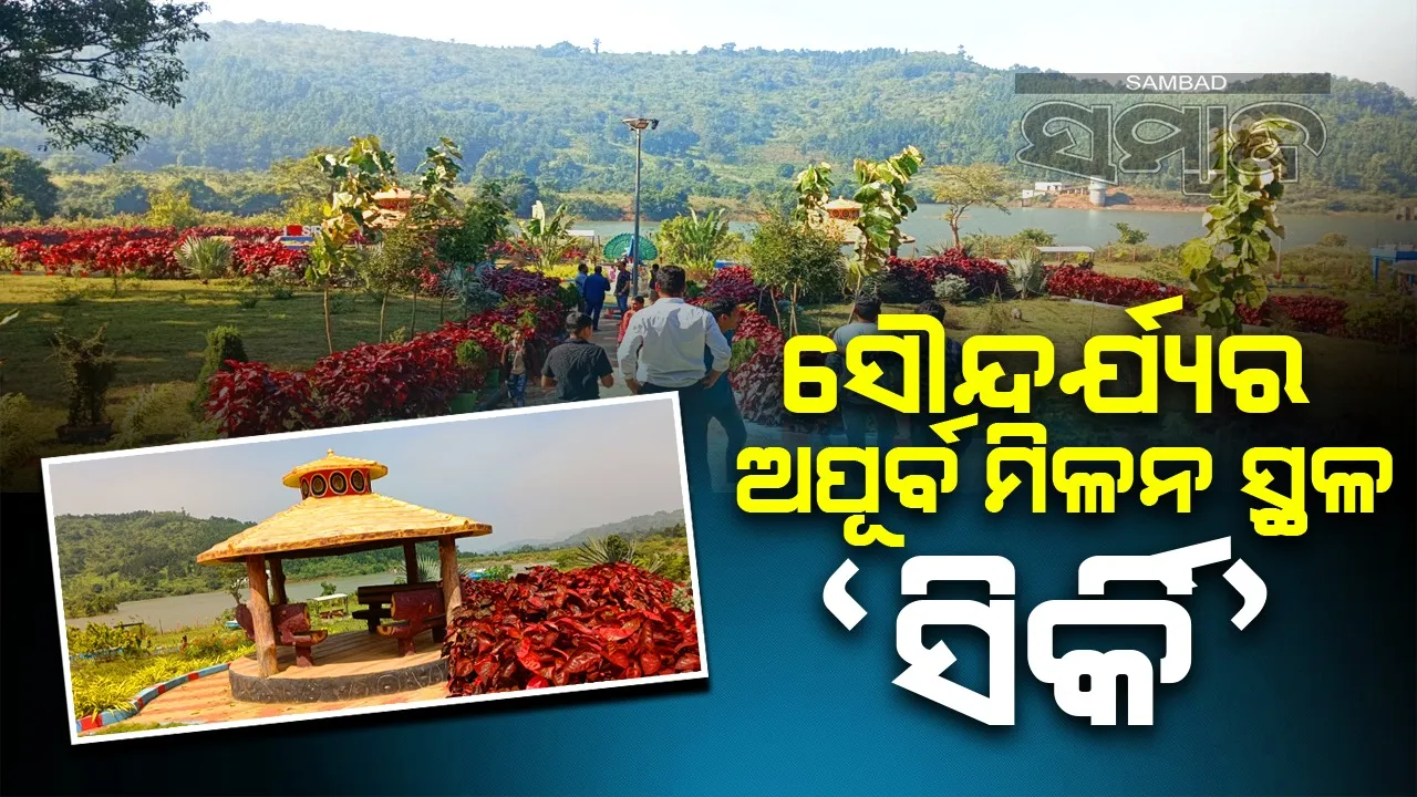 ସିର୍କିରେ ଜମୁଛି ଭିଡ଼: ଇକୋ ପାର୍କରେ ସୌନ୍ଦର୍ଯ୍ୟର  ମଜା ନେଉଛନ୍ତି ପର୍ଯ୍ୟଟକ