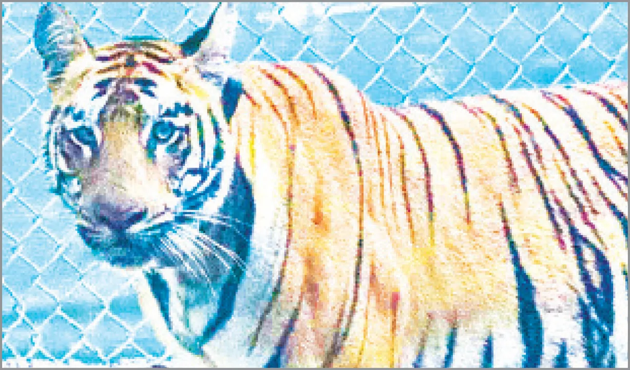  ତିନି ରାଜ୍ୟକୁ ‘ଜୀନତ୍‌’ ଚିନ୍ତା: ୭ ଦିନ ହେଲା କିଛି ଖାଇନି