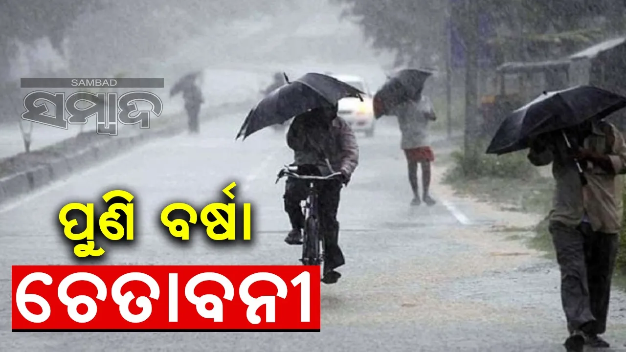  Rain in Odisha Photograph: (Sambad ) 