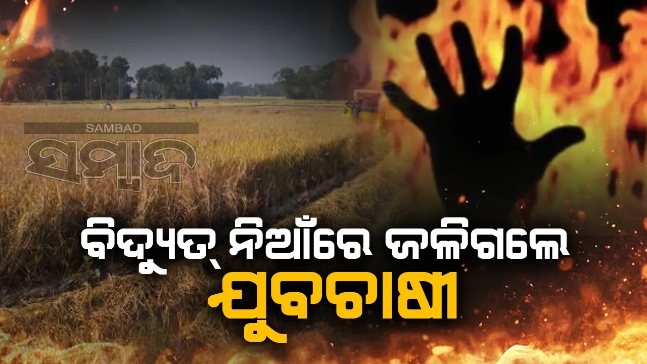  Farmers burned in Chandbali.  Photograph: (Sambad ) 