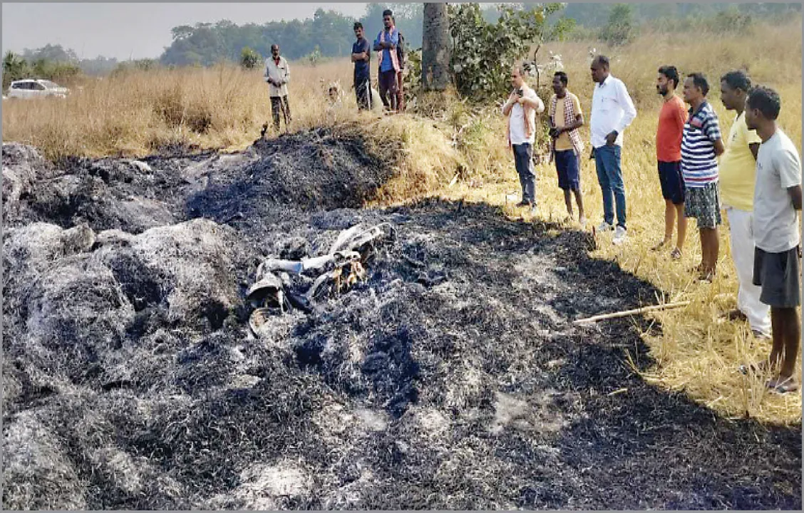  ବର୍ବରତା: ପାଳଗଦାରେ ସ୍କୁଟି ସହ ଯୁବକଙ୍କୁ ଜାଳିଦେଲେ