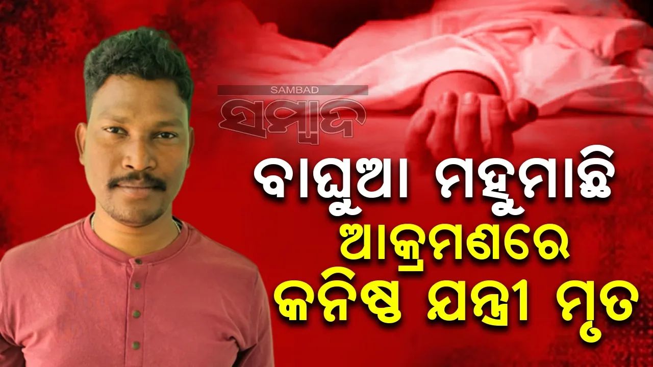  ବାଘୁଆ ମହୁମାଛି ଆକ୍ରମଣରେ ଚାଲିଗଲା କନିଷ୍ଠ ଯନ୍ତ୍ରୀଙ୍କ ଜୀବନ