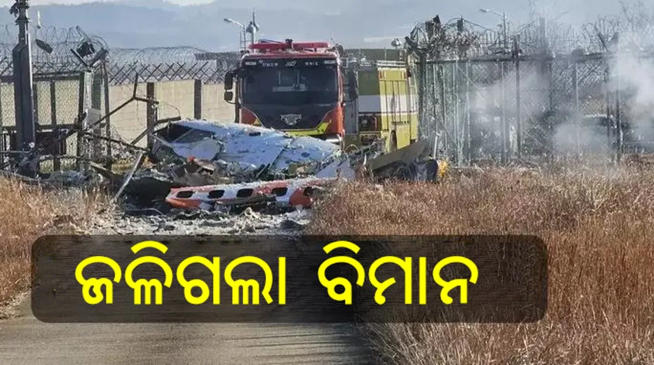  south-korea-plane-crash Photograph: (Sambad.in) 