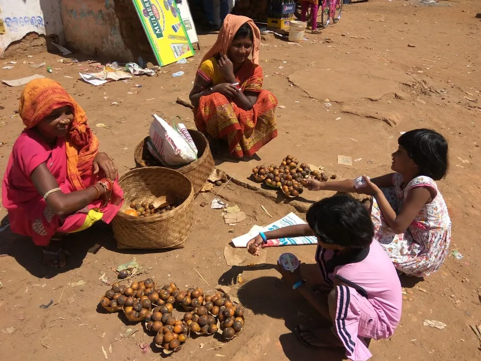  malkangiri Photograph: (Sambad ) 