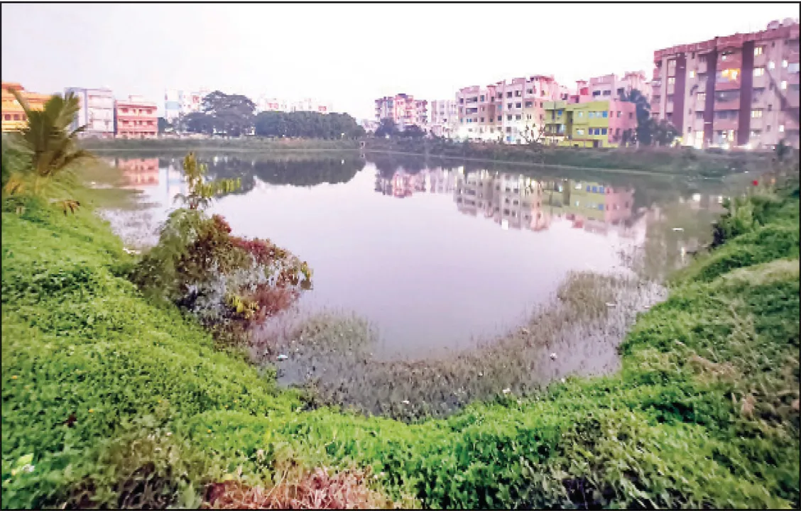  ନୂଆପଲ୍ଲୀ ହଜ ୪ରୁ ଗୋଟିଏ ମାନିଲେ: କାଟୁ କରୁନି କଟକଣା