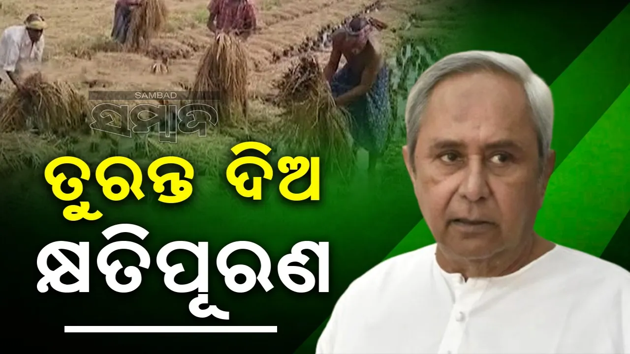  Opposition leaders Naveen Pattnaik Photograph: (sambad.in) 