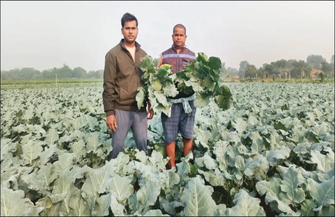  ୟୁଟ୍ୟୁବ୍‌ରୁ ଚାଷ ଶିଖିଲେ, ଏବେ ଶିଖାଉଛନ୍ତି
