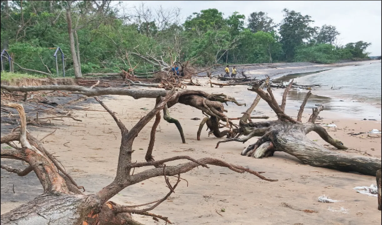  ବନ୍ଦରନଗରୀରେ ବିଷାକ୍ତ ‌ପାଣି, ପବନ: ବଢ଼ୁଛନ୍ତି ଶ୍ବାସ, ଚର୍ମ ଓ ହୃଦ୍‌ରୋଗୀ