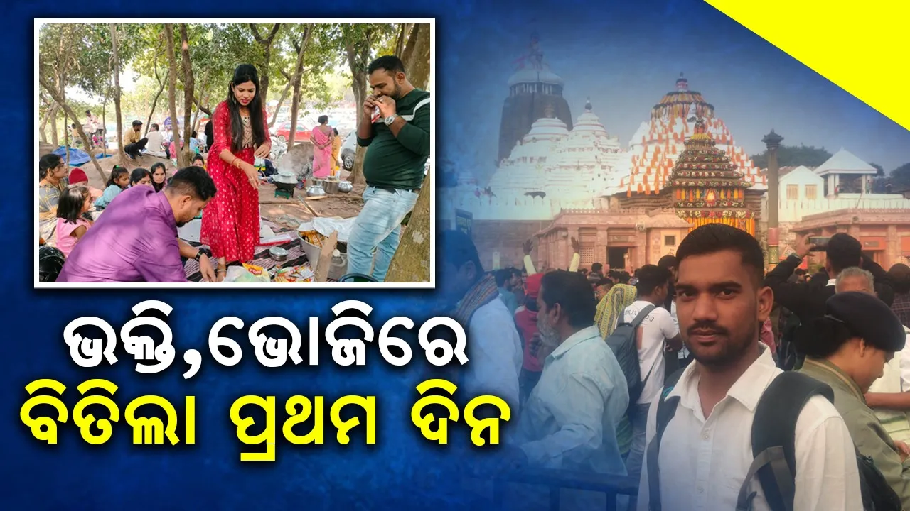  New Year picnic Photograph: (sambad.in) 