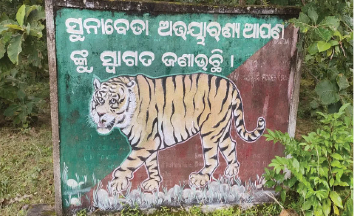  ସୁନାବେଡ଼ା ଅଭୟାରଣ୍ୟରେ ଅସୁରକ୍ଷିତ ବାଘ: ଦଶନ୍ଧିରେ ମଲେଣି ୨ ମହାବଳ  ଓ ୫ରୁ ଅଧିକ କଲରାପତରିଆ