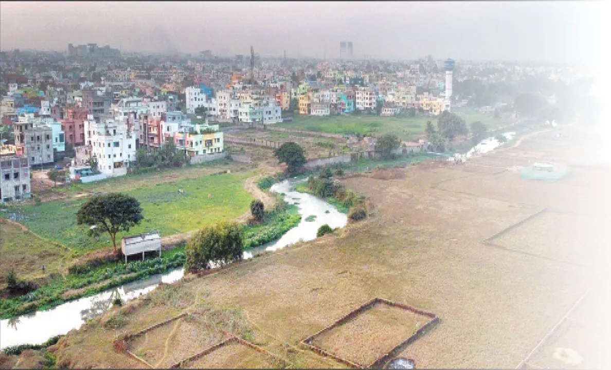  ଗଙ୍ଗୁଆ ପେଟରେ କଂକ୍ରିଟ୍‌ ଜଙ୍ଗଲ: ସର୍ବେକ୍ଷଣରେ ସାଂଘାତିକ ସତ