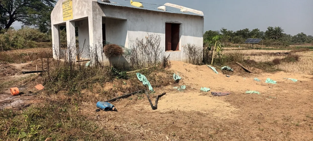  ଜନବସତିମୁହାଁ ହାତୀପଲ: ମାତିଲେ-ଖାଇଲେ-ଭାଙ୍ଗିଲେ