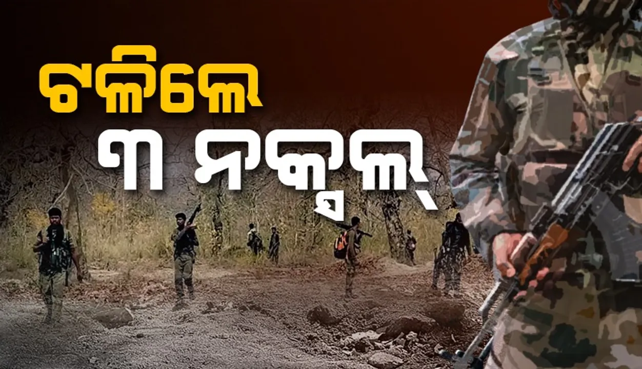  Three naxals killed in encounter near Nuapada border forest. Photograph: (sambad.in) 