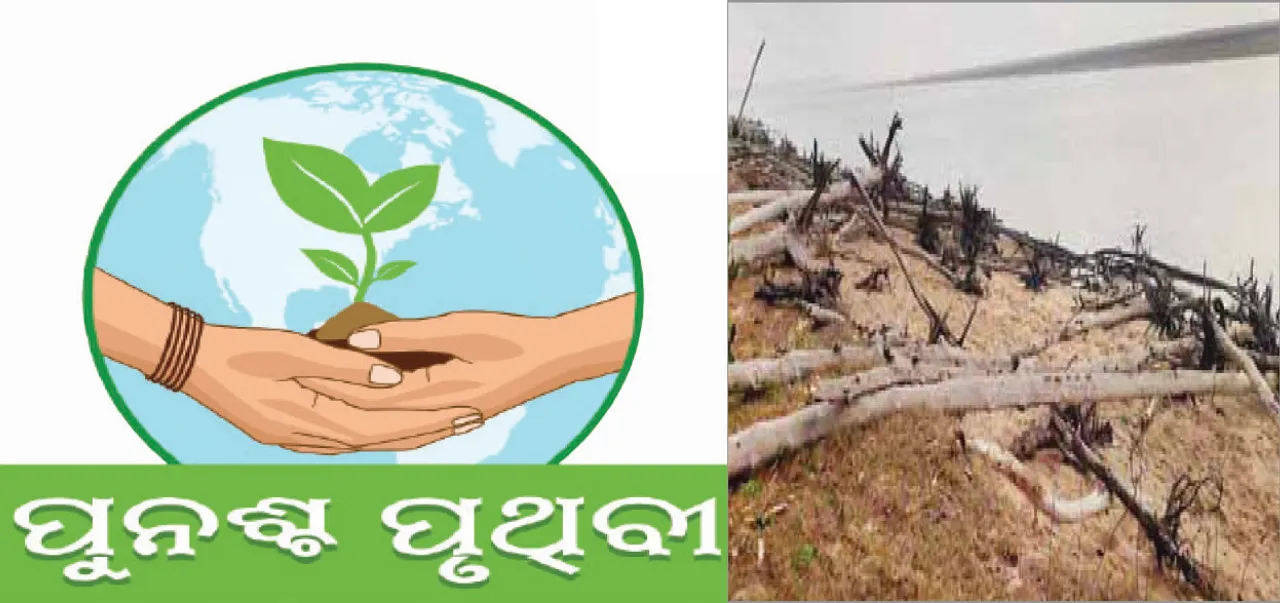  ସମୁଦ୍ରରେ ଲୀନ ହେବ ସୁବର୍ଣ୍ଣଦ୍ୱୀପ! ଜୁଆର ମାଡ଼ରେ ଶହଶହ ଝାଉଁଗଛ ଧରାଶାୟୀ