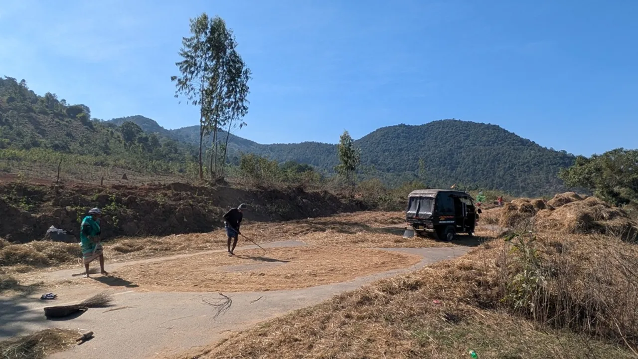  mandia in Koraput Photograph: (sambad.in) 