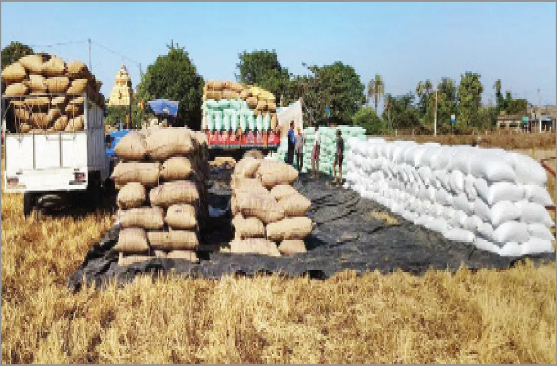  କେବେ ସୁଧୁରିବ  ଧାନମଣ୍ଡି ଅବସ୍ଥା? ୫୦% ମଣ୍ଡିର ନାହିଁ ନିଜସ୍ବ ଜମି
