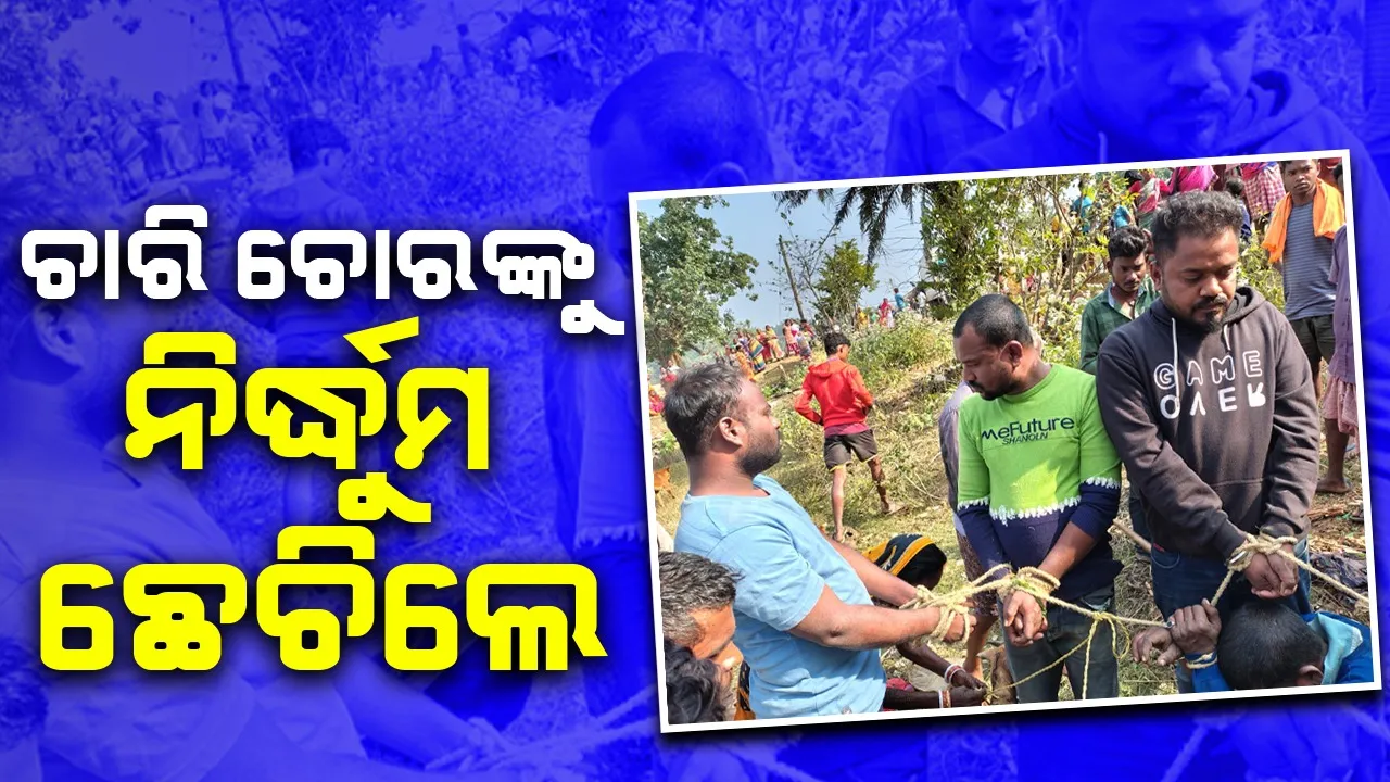  Four men bitten in Mayurbhanj district.  Photograph: (sambad.in) 