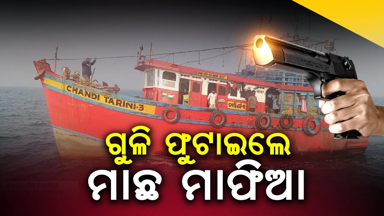  ଗହୀରମଥାରେ ମାଫିଆଙ୍କ ଆତଙ୍କରାଜ: ବନ ବିଭାଗ ଠାରୁ ଛଡ଼ାଇ ନେଲେ ଟ୍ରଲର