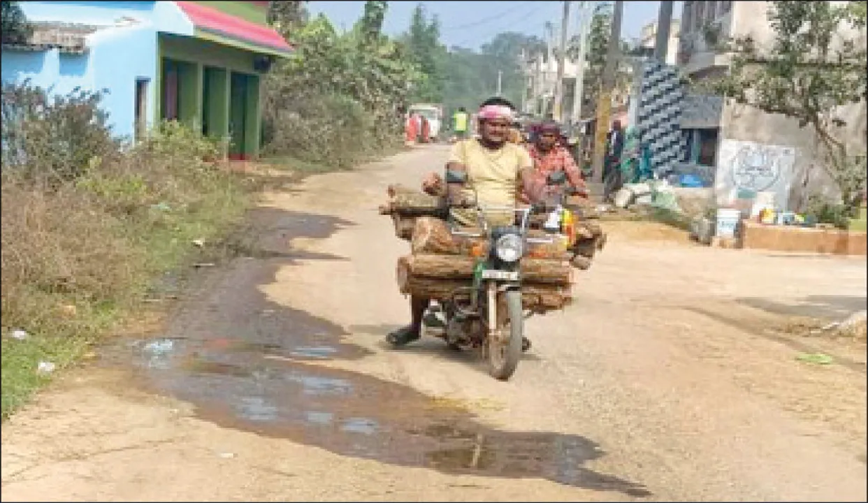  ସାଇକଲ୍‌-ବାଇକ୍‌ରେ ବୋହି ନେଉଛନ୍ତି କାଠ: ଗୋସିଙ୍ଗ ସଂରକ୍ଷିତ ଜଙ୍ଗଲରୁ ଗଛ କାଟ୍‌