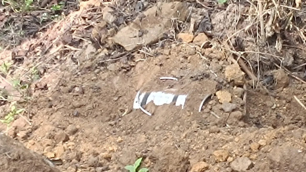  landmine rescued in Chhattisgarh Photograph: (sambad.in) 