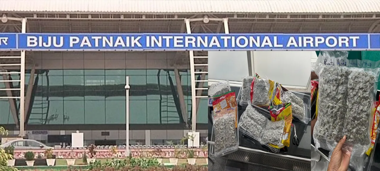  Ganja worth 4 crore seized from Biju Patnaik International Airport Photograph: (sambad.in) 