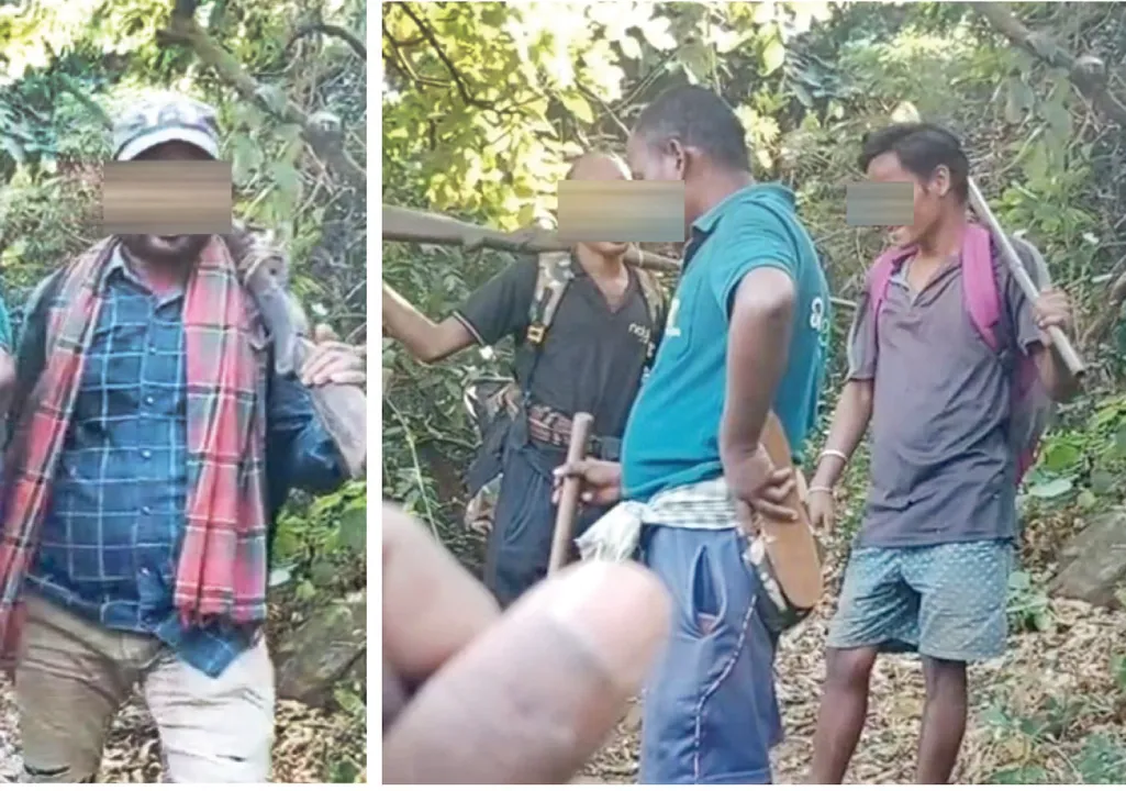  ଶିକାରୀଙ୍କ କବ୍‌ଜାରେ କୁଲଡ଼ିହା ଅଭୟାରଣ୍ୟ: ଚାଲିଛି ଅବାଧ ଶିକାର ‘ସମ୍ବାଦ’ ହାତରେ ଲାଗିଲା ଫଟୋ