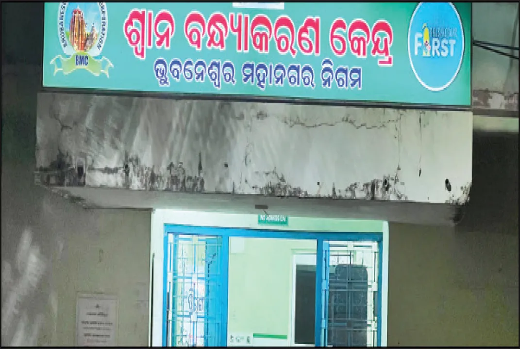  ପୁଣି ଝୁଲିଲା କୁକୁର ବନ୍ଧ୍ୟାକରଣ