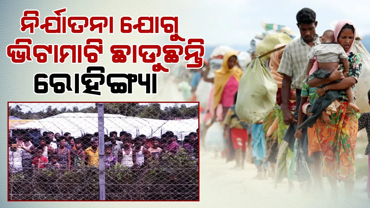 Arakan Army Persecution: Rohingyas Are Forced To Leave The Country Photograph: (Sambad.in) 