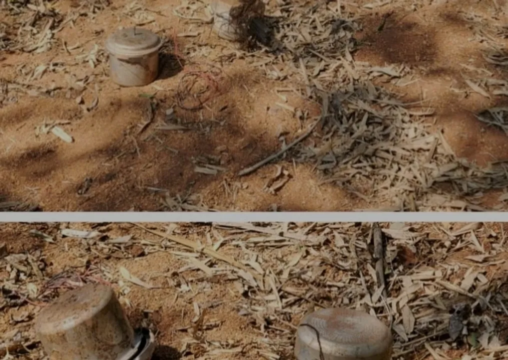  bomb defused Photograph: (sambad.in) 