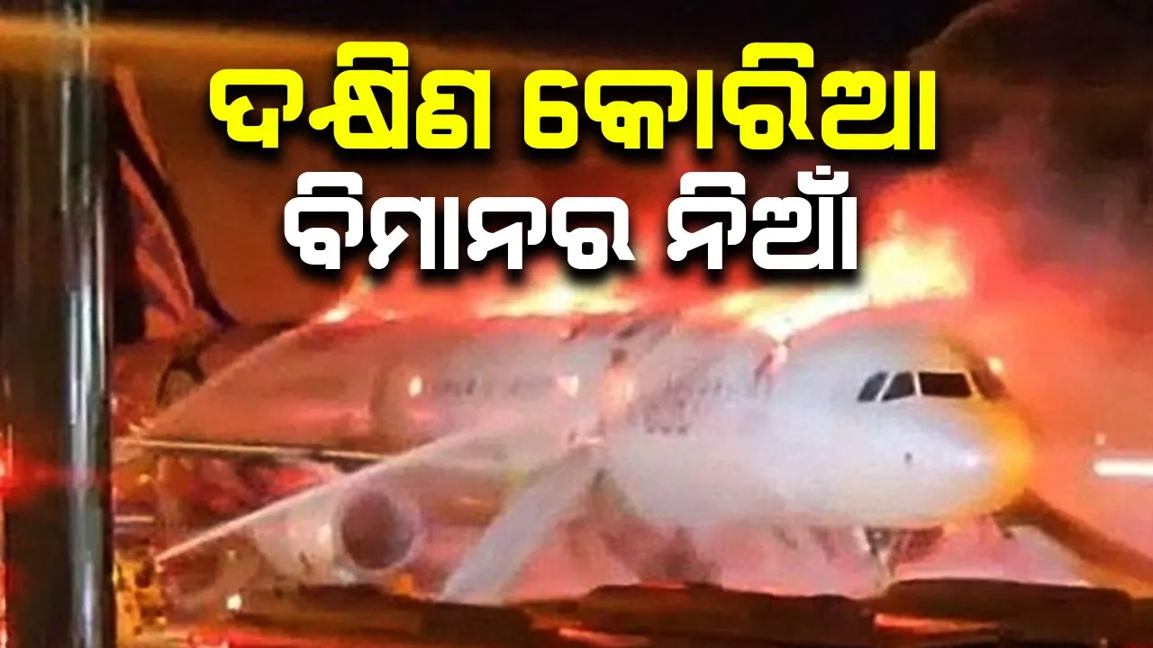  ଦକ୍ଷିଣ କୋରିଆ ବିମାନରେ ନିଆଁ, ଅଳ୍ପକେ ବର୍ତ୍ତିଲେ ୧୭୬ ଯାତ୍ରୀ