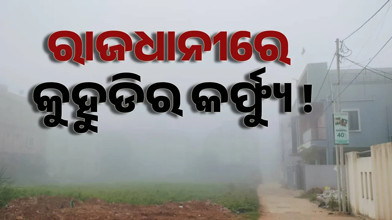  FOG  Photograph: (SAMBAD.IN ) 