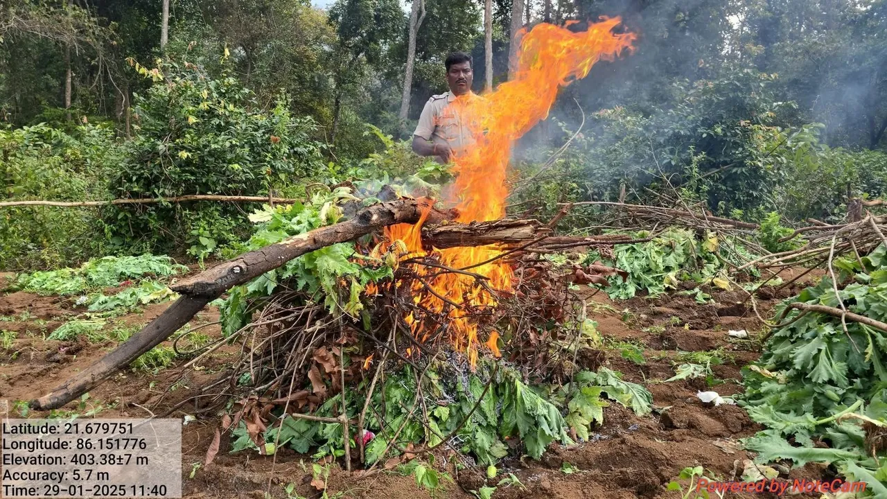  Thakurmunda police Photograph: (Sambad ) 