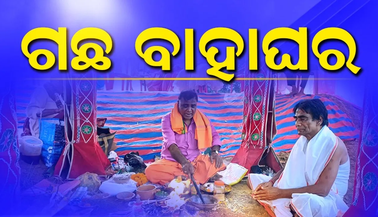  ବିବାହ ବନ୍ଧନରେ ବାନ୍ଧି ହେଲେ ବର ଓ ଅଶ୍ବତ୍ଥ ଗଛ
