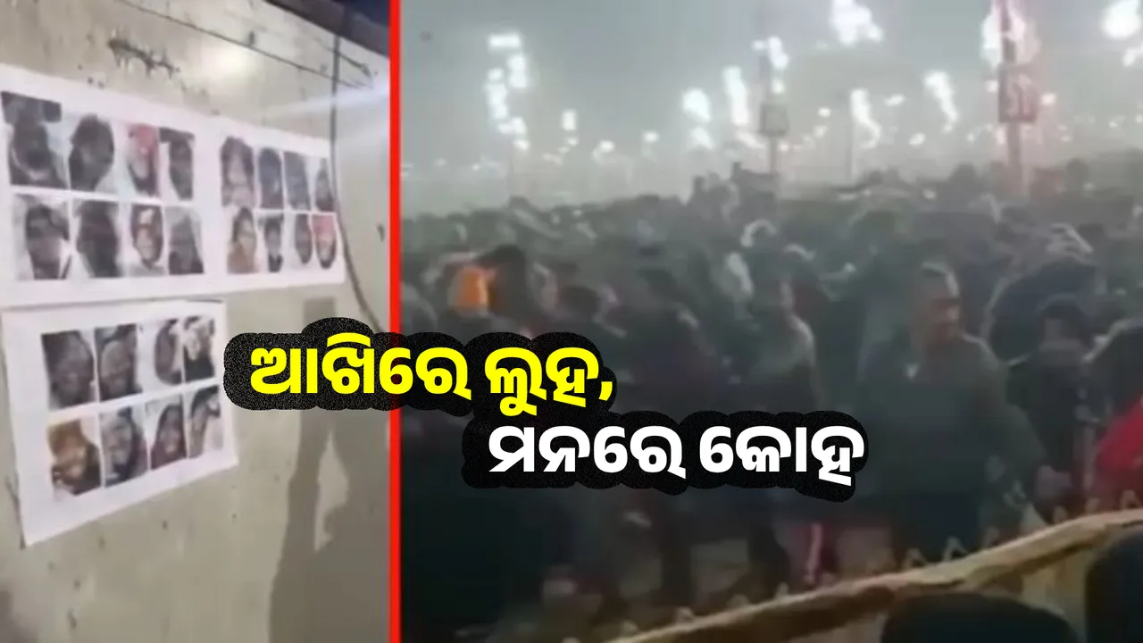  Kumbh Mela stampede: 5 videos are viral on media, people are looking for their loved ones crying Photograph: (Sambad.in) 