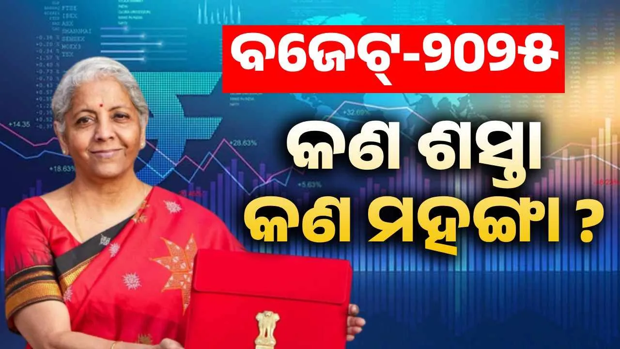  ବଜେଟରେ ବଡ ଘୋଷଣା: ଜାଣନ୍ତୁ କଣ ହେଲା ଶସ୍ତା, କଣ ମହଙ୍ଗା ?