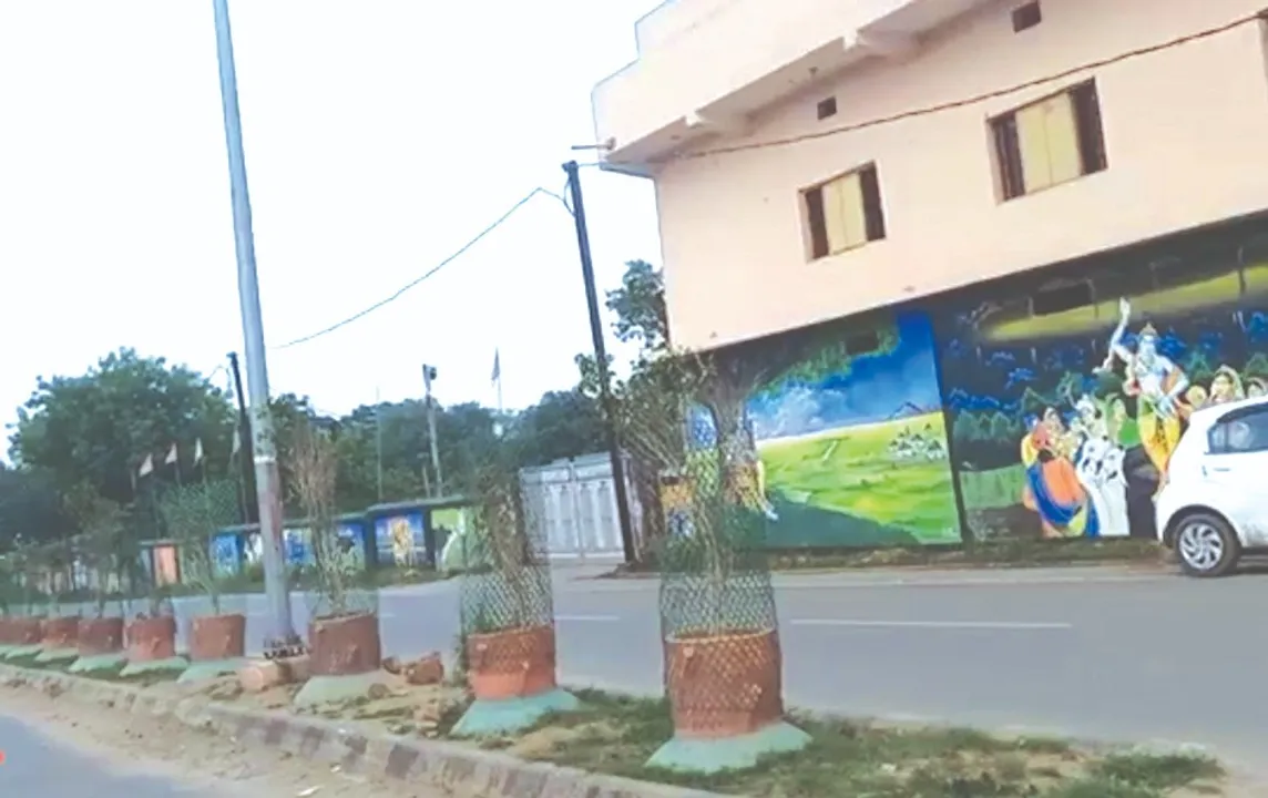  ଡିଏମ୍‌ଏଫ୍‌ ପାଣ୍ଠିର ଅପବ୍ୟୟ -ପଡ଼ିଛି ଭଙ୍ଗା ସିମେଣ୍ଟ କୁଣ୍ଡ, ଦିଶୁନି ଗଛ