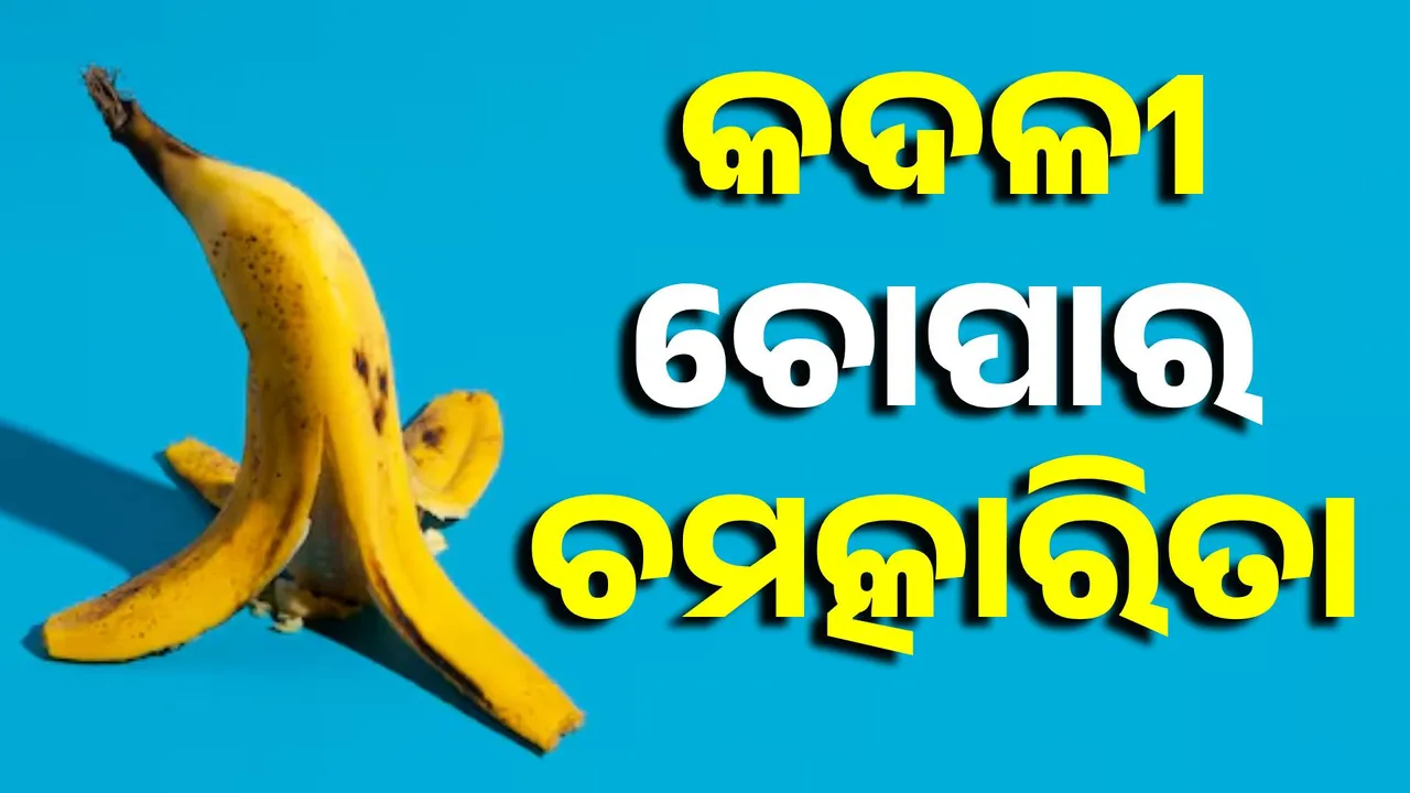  Photograph: (SAMBAD.IN) 