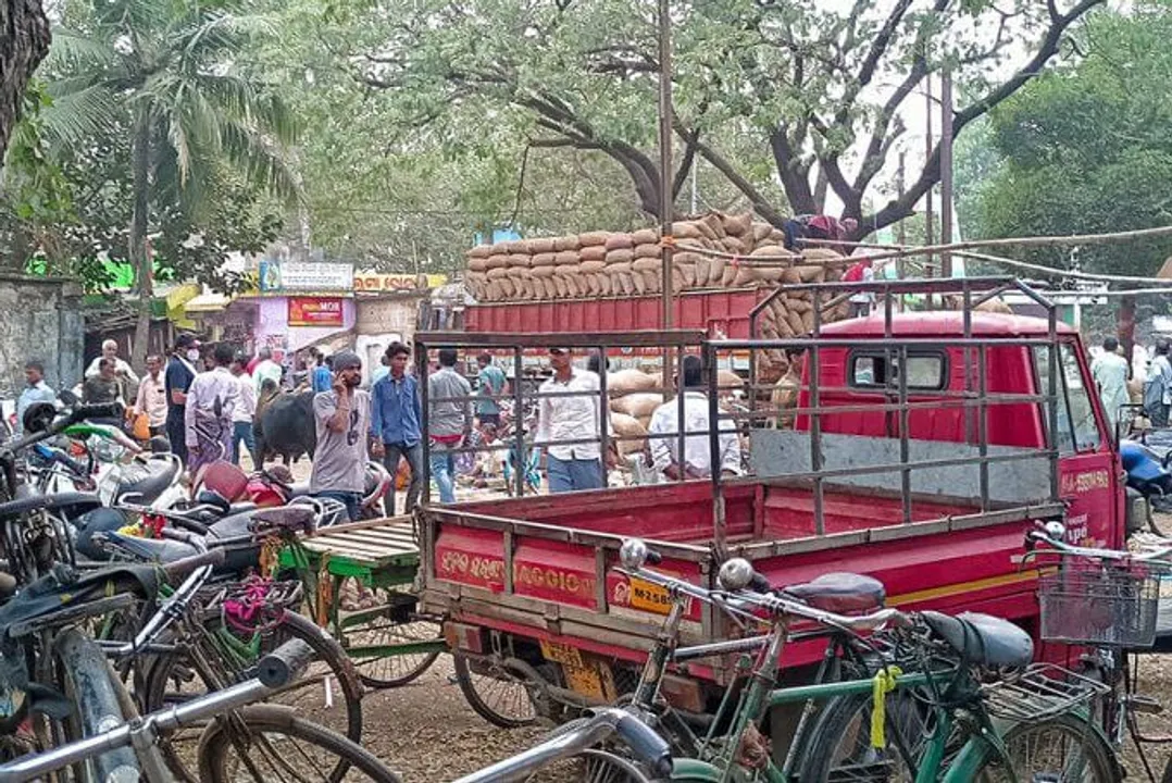  ଚାଷୀ ବେଶରେ ହାପ୍ ପ୍ୟାଣ୍ଟ ପିନ୍ଧି ମଣ୍ଡିରେ ସ୍ଥିତି ପରଖିଲେ ଭଦ୍ରକ ଜିଲ୍ଲାପାଳ