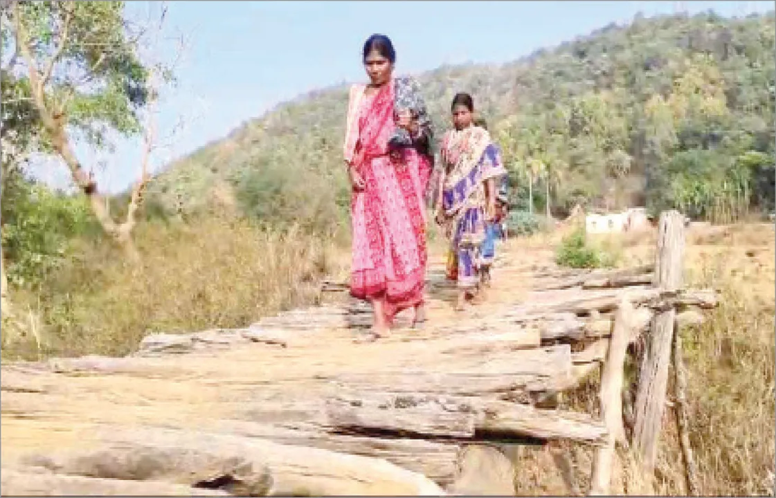 ବିକାଶରୁ କୋଶେ ଦୂରରେ ପାଦେରିମାହା ଗାଁ: ଆଜି ବି କାଠପୋଲ ଭରସା