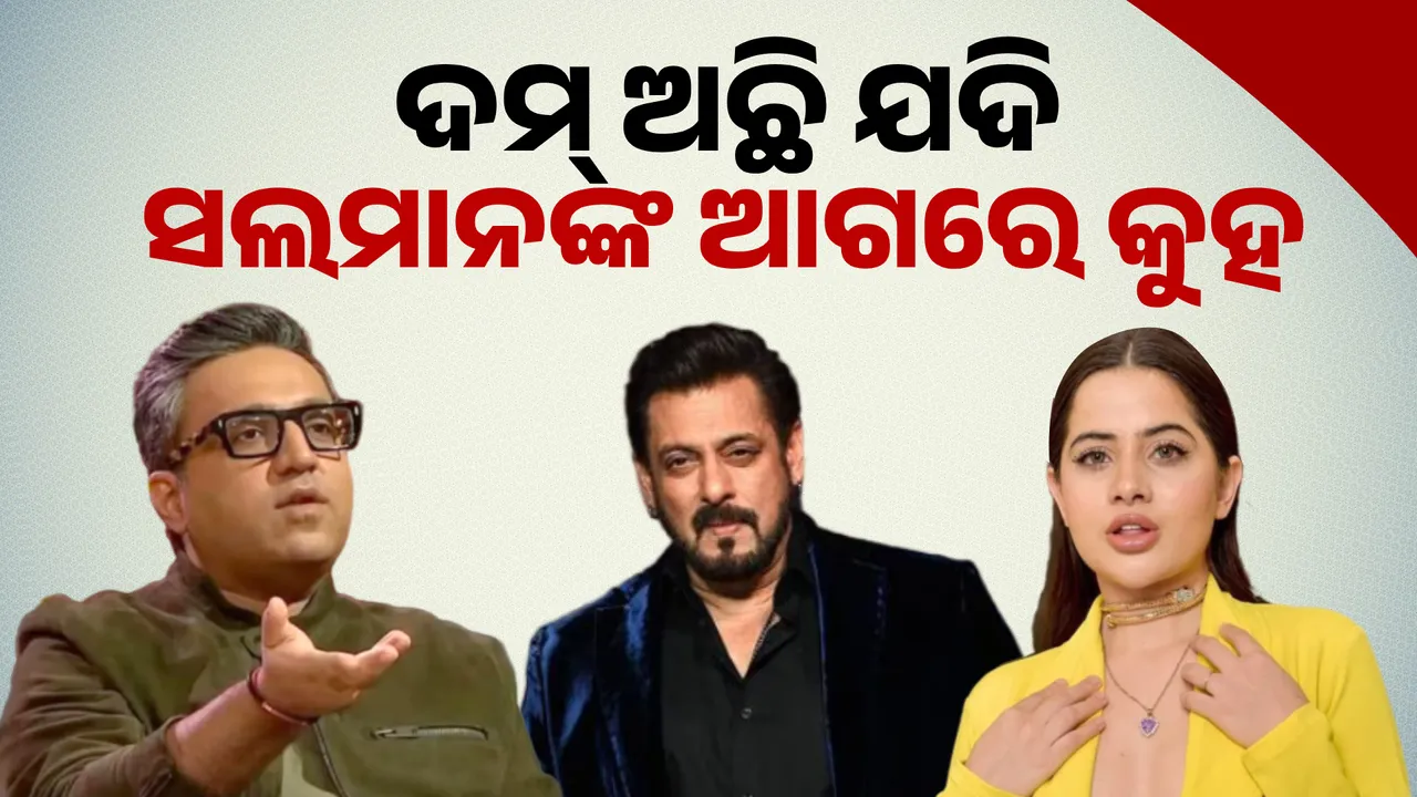  ଦମ୍ ଅଛି ଯଦି ସଲମାନଙ୍କ ଆଗରେ କୁହ; ଅଶନୀରଙ୍କୁ ଚ୍ୟାଲେଞ୍ଜ କଲେ ଉର୍ଫି