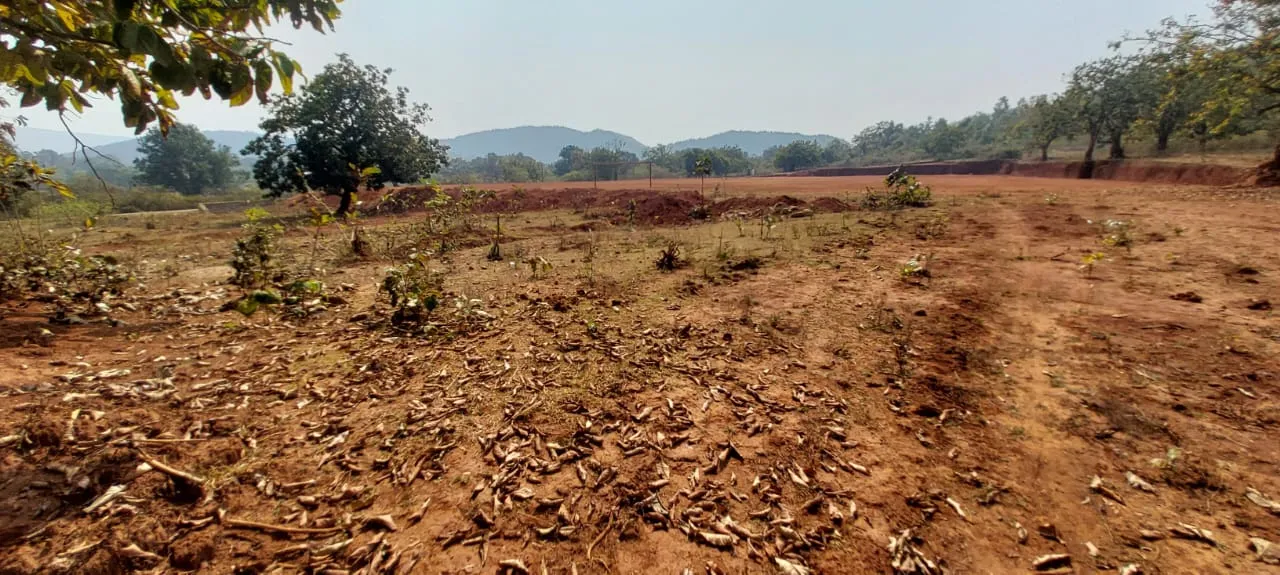  G Udayagiri Photograph: (Sambad ) 