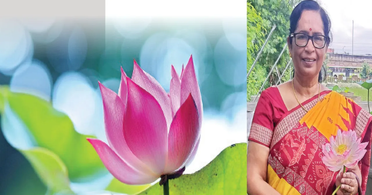  ପଦ୍ମ ଅଭିସାର! ଓଡ଼ିଶାରୁ ହେଲା ୧୯ ପ୍ରକାର ପଦ୍ମଫୁଲ ଆବିଷ୍କାର