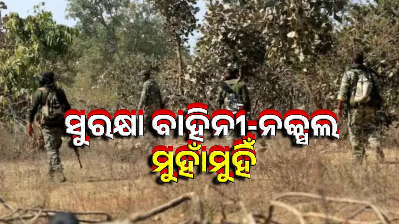  Search operation in Chhattisgarh's Bijapur Photograph: (Sambad.in) 