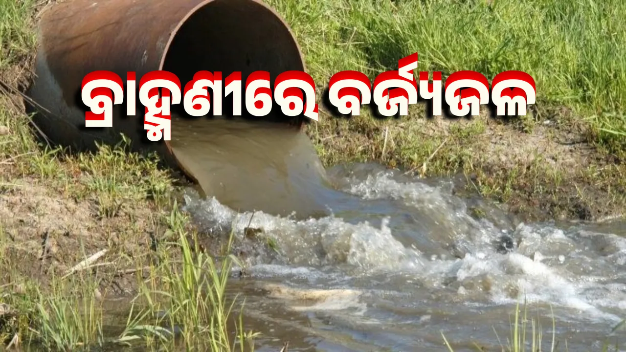  Even after STP, Brahmani is contaminated Photograph: (sambad.in) 