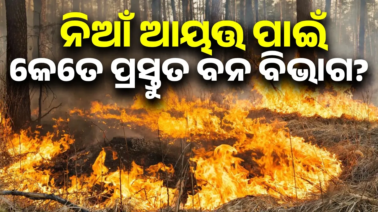  Forest fire Photograph: (sambad.in) 