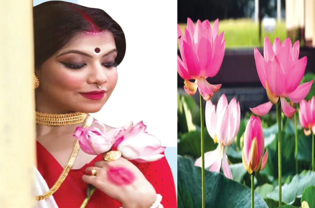  ନାରୀବାଦର ପ୍ରତୀକ ପଦ୍ମ