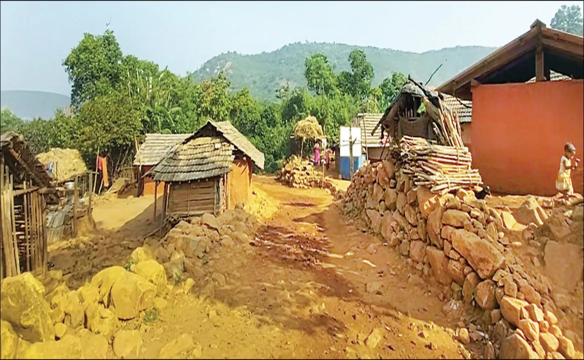  ଧନୀ ଜିଲ୍ଲାର ବିକଳ ଚିତ୍ର: ୭୮୧ ଗାଁକୁ ରାସ୍ତା ନାହିଁ